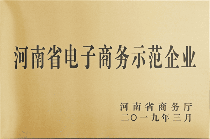 河南省電子商務(wù)示范企業(yè)