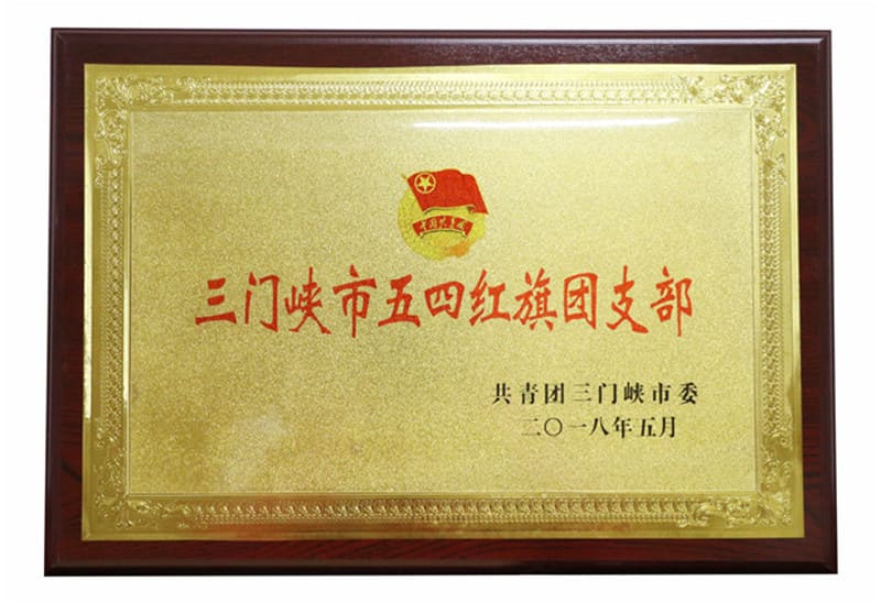 三門峽市五四紅旗團支部