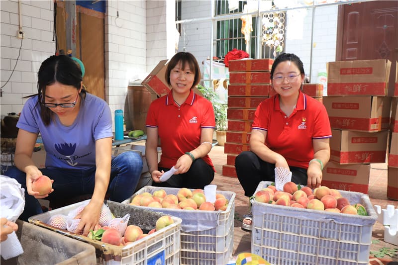 2022-助力農(nóng)戶銷售水蜜桃