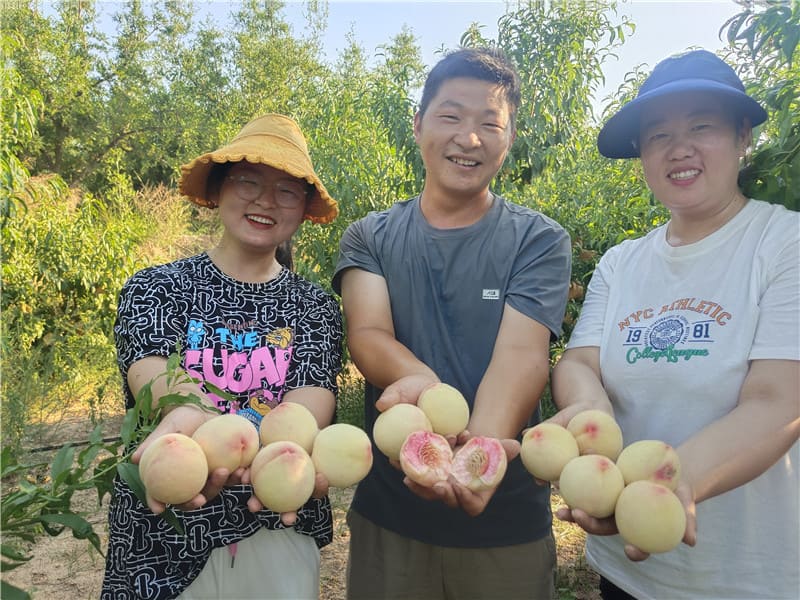 2022-助力農(nóng)村賣桃